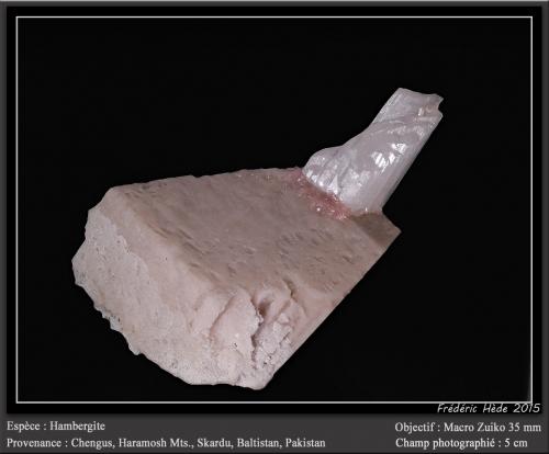 Hambergite on Feldspar<br />Haramosh Mountains, Baltistan District, Gilgit-Baltistan (Northern Areas), Pakistan<br />fov 5 cm<br /> (Author: ploum)