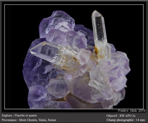 Fluorite and Quartz<br />Mont Chemin, Martigny, Wallis (Valais), Switzerland<br />fov 14 mm<br /> (Author: ploum)