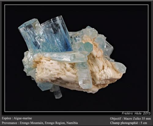 Beryl (variety aquamarine) with Albite<br />Erongo Mountain, Usakos, Erongo Region, Namibia<br />fov  5 cm<br /> (Author: ploum)
