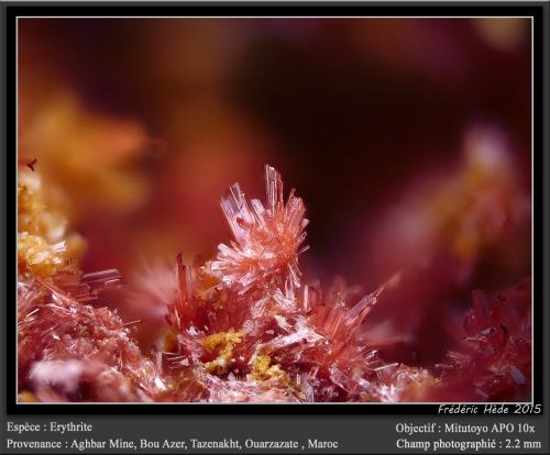 Erythrite<br />Mina Aghbar (Mina Arhbar), Distrito minero Bou Azzer, Provincia Zagora, Región Drâa-Tafilalet, Marruecos<br />fov 2.2 mm<br /> (Author: ploum)