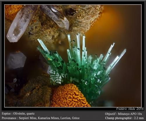 Olivenite and Quartz<br />Mina Serpieri, Minas Kamariza, Distrito minero Lavrion, Prefectura Attikí (Attica), Grecia<br />fov 2.2 mm<br /> (Author: ploum)