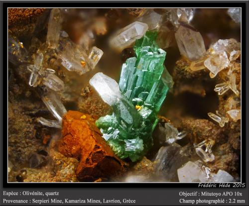 Olivenite and Quartz<br />Mina Serpieri, Minas Kamariza, Distrito minero Lavrion, Prefectura Attikí (Attica), Grecia<br />fov 2.2 mm<br /> (Author: ploum)