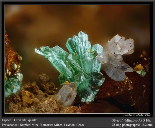 Olivenite and Quartz<br />Mina Serpieri, Minas Kamariza, Distrito minero Lavrion, Prefectura Attikí (Attica), Grecia<br />fov 2.2 mm<br /> (Author: ploum)