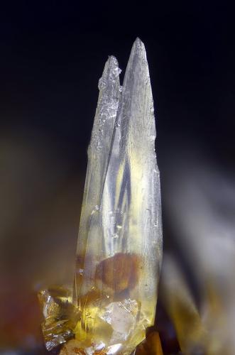 Siderita<br />Salsigne Mine, Salsigne, Mas-Cabardès, Carcassonne, Aude, Occitanie, France<br />Campo de visión 0,7 mm. (Horizontal)<br /> (Autor: Juan Miguel)