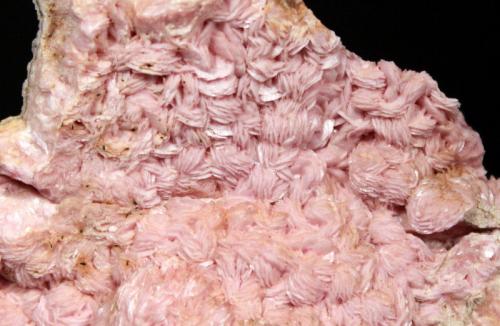 Rhodochrosite<br />Mina Oue, Península Shakotan, Subprefectura Shiribeshi, Hokkaidō, Japón<br />7.9 x 7.1 x 3.0 cm<br /> (Author: Don Lum)