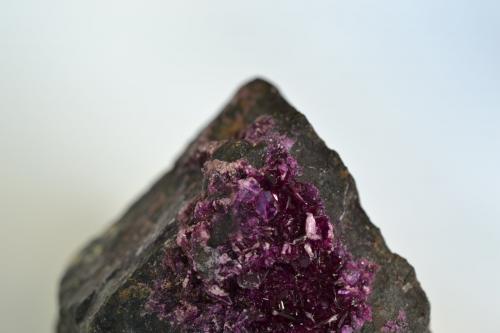 Clinocloro (variedad kämmererita)<br />Mina Kop Krom, Kop Daglari, Provincia Erzurum, Región Anatolia Oriental, Turquía<br />6 x 5 x 5 cm.<br /> (Autor: Raul S. Llorente)
