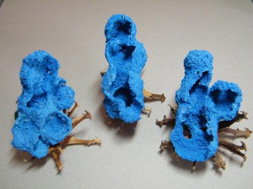 Shattuckite<br />Kaokoveld Plateau, Región Kunene, Namibia<br />to follow<br /> (Author: Heimo Hellwig)