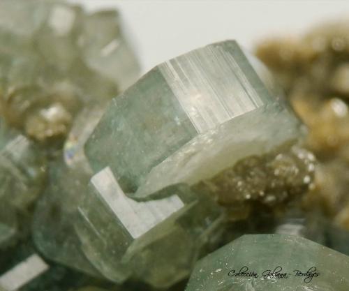 Fluorapatito (Grupo Apatito)<br />Minas da Panasqueira, Aldeia de São Francisco de Assis, Covilhã, Castelo Branco, Cova da Beira, Centro, Portugal<br />Encuadre de la fotografía 16 mm.<br /> (Autor: Rafael Galiana)