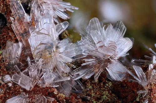 Hemimorfita<br />Las Minicas, Cerro la Corona, Benahadux, Comarca Metropolitana de Almería, Almería, Andalucía, España<br />Campo de visión 4 mm<br /> (Autor: Juan Miguel)