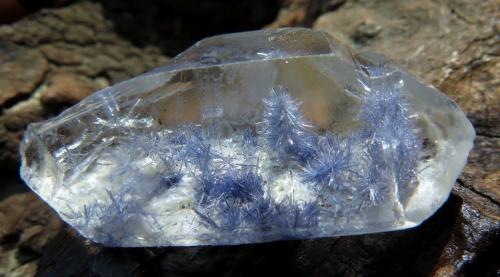 Dumortierite in Quartz<br />Vaca Morta Quarry, Serra da Vereda, Boquira, Bahia, Northeast Region, Brazil<br />35 mm. x 18 mm. x 10 mm.<br /> (Author: Val)