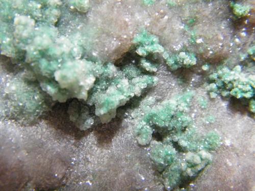 Smithsonite and Malachite<br />Mina Tsumeb, Tsumeb, Región Otjikoto, Namibia<br />135x100mm<br /> (Author: Heimo Hellwig)