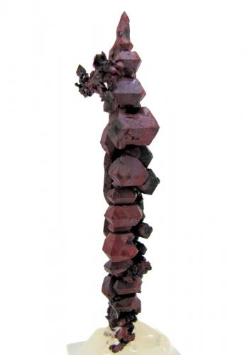 Copper<br />Mina Itauz, Dzhezkazgan, Región Karaganda, Kazajstán<br />63 mm x 10 mm - Largest crystal size: 8.5 mm<br /> (Author: Carles Millan)