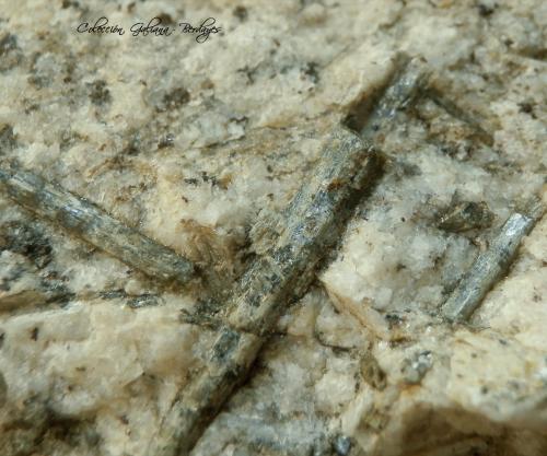 Prismatina<br />Granulite outcrop, Waldheim, Döbeln, Leipzig, Saxony/Sachsen, Germany<br />Encuadre fotografía 25 mm.<br /> (Autor: Rafael Galiana)