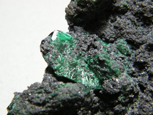 Mottramite, Malachite, Azurite<br />Tsumeb Mine, Tsumeb, Otjikoto Region, Namibia<br />70x50mm<br /> (Author: Heimo Hellwig)