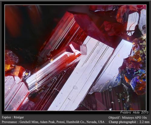 Realgar<br />Mina Getchell, Pico Adam, Distrito Potosi, Montes Osgood, Condado Humboldt, Nevada, USA<br />fov 2.2 mm<br /> (Author: ploum)