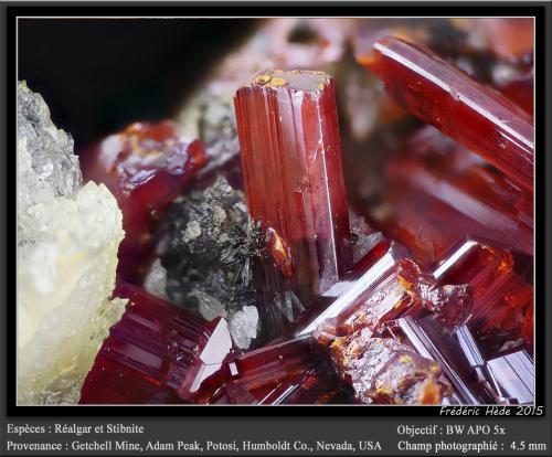 Realgar and Stibnite<br />Getchell Mine, Adam Peak, Potosi District, Osgood Mountains, Humboldt County, Nevada, USA<br />fov 4.5 mm<br /> (Author: ploum)