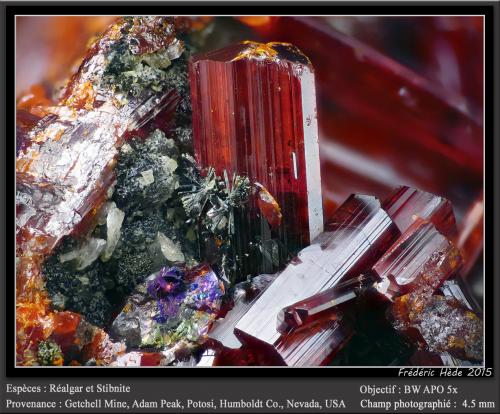 Realgar and Stibnite<br />Mina Getchell, Pico Adam, Distrito Potosi, Montes Osgood, Condado Humboldt, Nevada, USA<br />fov 4.5 mm<br /> (Author: ploum)