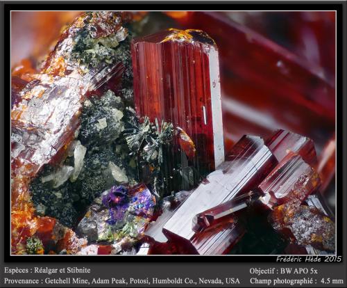 Realgar and Stibnite<br />Getchell Mine, Adam Peak, Potosi District, Osgood Mountains, Humboldt County, Nevada, USA<br />fov 4.5 mm<br /> (Author: ploum)