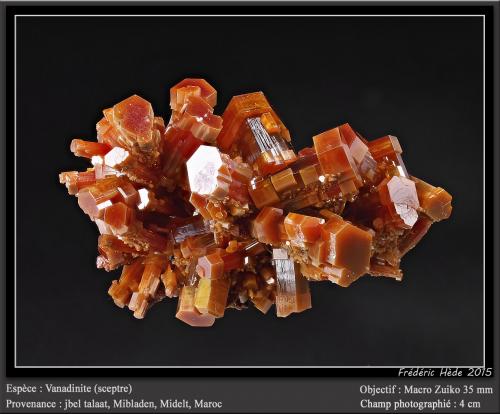 Vandinite<br />Mibladen (Mibladen mining district), Midelt, Midelt Province, Drâa-Tafilalet Region, Morocco<br />fov 4 cm<br /> (Author: ploum)