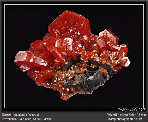 Vanadinite<br />Mibladen (distrito minero Mibladen), Midelt, Provincia Midelt, Región Drâa-Tafilalet, Marruecos<br />fov 6 cm<br /> (Author: ploum)