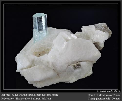 Beryl (variety aquamarine) on Feldspar and with Muscovite<br />Valle Shigar, Distrito Shigar, Gilgit-Baltistan (Áreas del Norte), Paquistán<br />fov 70 mm<br /> (Author: ploum)