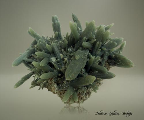 Cuarzo (variedad prasio)<br />Monte Aghriomelisa, Bahía Avissalos, Isla de Serifos, Islas Cícladas, Prefectura de las Cícladas, Egeo meridional, Grecia<br />88 x 67 x 52 mm.<br /> (Autor: Rafael Galiana)