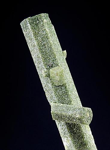 Milarite<br />Aurina Valley (Ahrnbach Valley), Bolzano Province, Trentino-Alto Adige (Trentino-Südtirol), Italy<br />18 mm<br /> (Author: Gerhard Brandstetter)