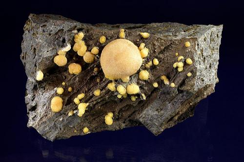 Calcite<br />Montalto di Castro, Viterbo Province, Lazio, Italy<br />12 cm<br /> (Author: Gerhard Brandstetter)