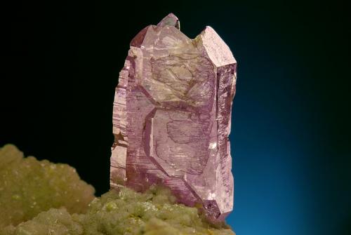 Quartz (variety amethyst)<br />Osilo, Sassari Province, Sardinia/Sardegna, Italy<br />Crystal size 20 mm<br /> (Author: Gerhard Brandstetter)