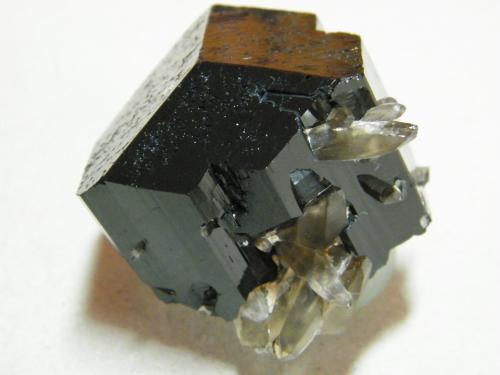 Schorl, Quartz<br />Monte Erongo, Usakos, Región Erongo, Namibia<br />40x35x45mm<br /> (Author: Heimo Hellwig)