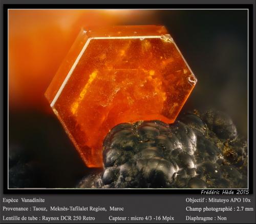 Vanadinite<br />Taouz, Provincia Er Rachidia, Región Drâa-Tafilalet, Marruecos<br />fov 2.7 mm<br /> (Author: ploum)