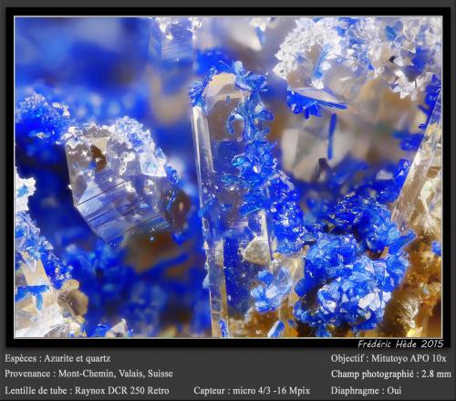 Azurite on Quartz<br />Mont Chemin, Martigny, Wallis (Valais), Switzerland<br />fov 2.8 mm<br /> (Author: ploum)