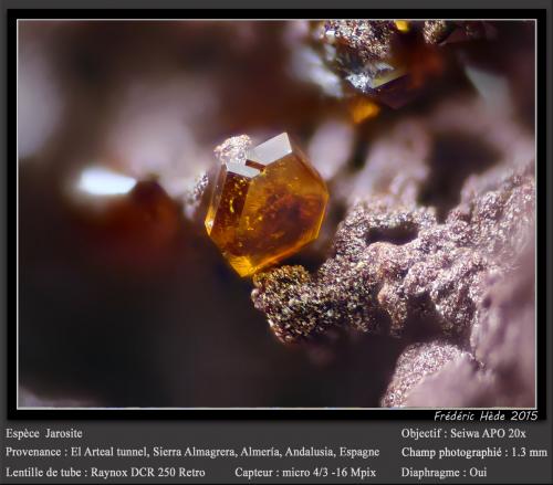 Jarosite<br />Socavón Santa Bárbara (El Arteal Tunnel), Almagrera Range, Cuevas del Almanzora, Comarca Levante Almeriense, Almería, Andalusia, Spain<br />fov 1.3 mm<br /> (Author: ploum)