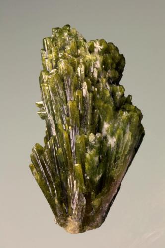 Epidote<br />Gertrusk Mountain, Saualpe, Carinthia/Kärnten, Austria<br />36 mm<br /> (Author: Gerhard Brandstetter)