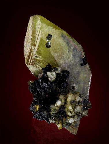 Titanite<br />Elschekamm, Ankogl, Hohe Tauern, Salzburgo/Salzburg, Austria<br />15 mm<br /> (Author: Gerhard Brandstetter)