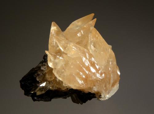 Calcite<br />Minerva I Mine, Ozark-Mahoning group, Cave-in-Rock Sub-District, Hardin County, Illinois, USA<br />6.5 x 8.0 cm<br /> (Author: crosstimber)