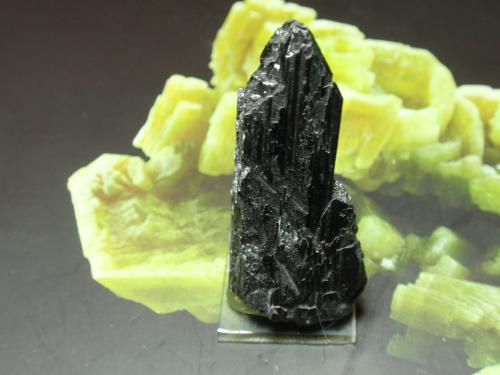 Ferberita<br />Provincia Hunan, China<br />20x45 mm<br /> (Autor: Ignacio)