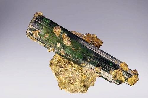 Elbaite<br />Otjua Mine, Otjua Farm 37, Karibib District, Erongo Region, Namibia<br />53 mm<br /> (Author: Gerhard Brandstetter)