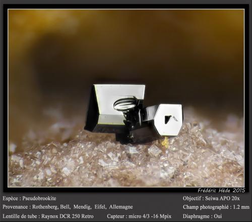 Pseudobrookite<br />Rothenberg, Bell, Mendig, Mayen-Koblenz District, Eifel, Rhineland-Palatinate/Rheinland-Pfalz, Germany<br />fov 1.2 mm<br /> (Author: ploum)