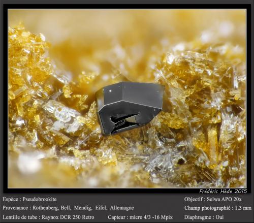 Pseudobrookite<br />Rothenberg, Bell, Mendig, Distrito Mayen-Koblenz, Eifel, Renania-Palatinado/Rheinland-Pfalz, Alemania<br />fov 1.3 mm<br /> (Author: ploum)