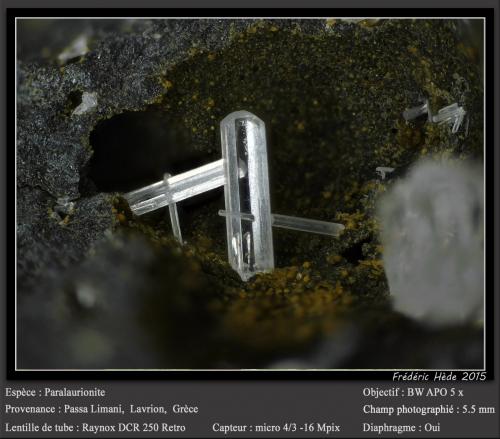 Paralaurionite<br />Passa Limani Cove, Passa Limani area, Lavrion Mining District, Attikí (Attica) Prefecture, Greece<br />fov 5.5 mm<br /> (Author: ploum)