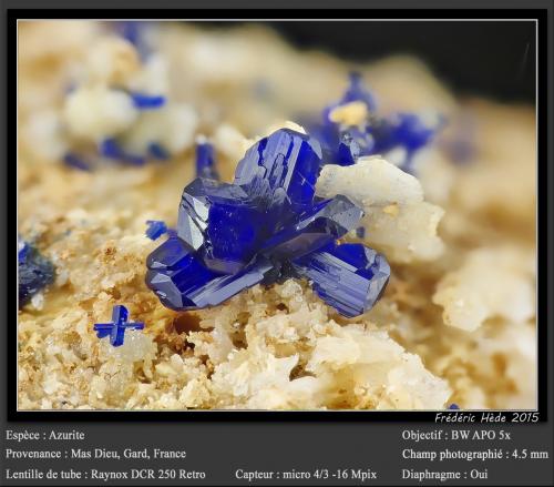 Azurite<br />Mas Dieu, Mercoirol, Alès, Gard, Occitanie, France<br />fov 4.5 mm<br /> (Author: ploum)