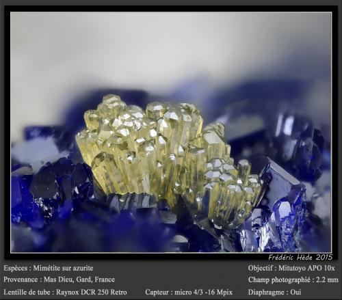 Mimetite on Azurite<br />Mas Dieu, Mercoirol, Alès, Gard, Occitanie, France<br />fov 2.2 mm<br /> (Author: ploum)