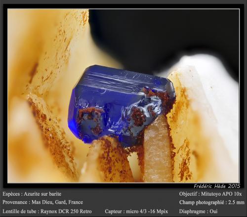 Azurite<br />Mas Dieu, Mercoirol, Alès, Gard, Occitanie, France<br />fov 2.2 mm<br /> (Author: ploum)