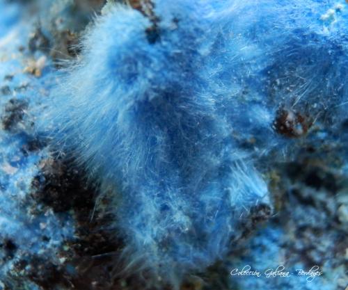 Carbonatocyanotrichita<br />Mina Qinglong, Dachang, Qinglong, Prefectura Autónoma Qianxi'nan, Provincia Guizhou, China<br />Encuadre de la fotografía 11 mm<br /> (Autor: Rafael Galiana)