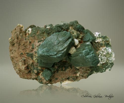 Celadonita<br />Cantera Shakur, Distrito Nashik (Nasik), Maharashtra, India<br />90 x 60 x 43 mm.<br /> (Autor: Rafael Galiana)