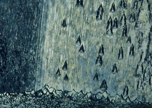 Hematite<br />N'Chwaning II Mine, N'Chwaning mining area, Kuruman, Kalahari manganese field (KMF), Northern Cape Province, South Africa<br />FOV 8 mm<br /> (Author: Gerhard Brandstetter)