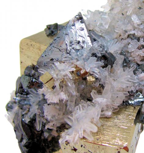 Tetrahedrite, Pyrite, Quartz, Sphalerite<br />Zona minera Mundo Nuevo, Mundo Nuevo, Huamachuco, Provincia Sánchez Carrión, Departamento La Libertad, Perú<br />77 mm x 71 mm x 54 mm. Tetrahedrite crystal: 24 mm on edge. Major pyrite crystal: 26 mm on edge<br /> (Author: Carles Millan)