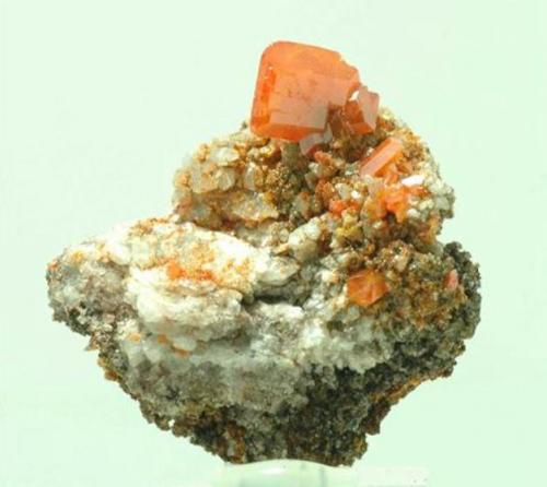Wulfenita<br />Red Cloud Mine, Trigo Mountains, Silver District, La Paz County, Arizona, USA<br />3,5 x 3,5 x 1,1 cm<br /> (Autor: Antonio Alcaide)