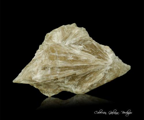 Probertita<br />Depósito Emet de boratos, Emet, Distrito Emet, Provincia Kütahya, Región Egeo, Turquía<br />81 x 53 x 22 mm.<br /> (Autor: Rafael Galiana)